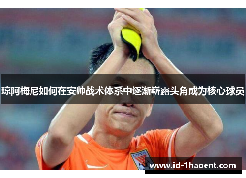 琼阿梅尼如何在安帅战术体系中逐渐崭露头角成为核心球员